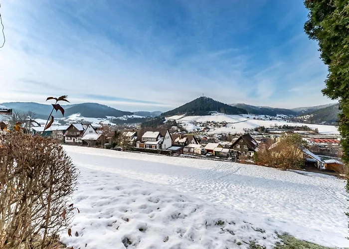 Juri5 In Baiersbronn Mit Pool